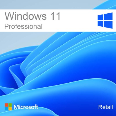 windows_11_professional
